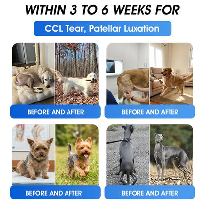 Official US 🇺🇸 Store 🐶🐱Yovot® BPC-157 Advanced Joint & Total Body Health Oral Liquid -(For Dogs, Cats & Mammals. One Bottle Daily, Results in 7 Days)