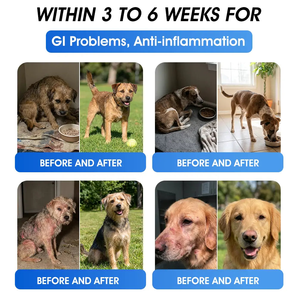 Official US 🇺🇸 Store 🐶🐱Yovot® BPC-157 Advanced Joint & Total Body Health Oral Liquid -(For Dogs, Cats & Mammals. One Bottle Daily, Results in 7 Days)
