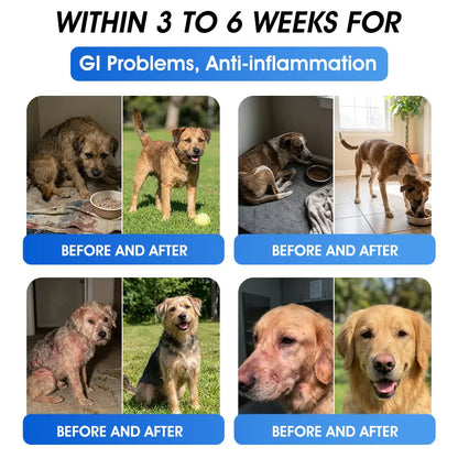 Official US 🇺🇸 Store 🐶🐱Yovot® BPC-157 Advanced Joint & Total Body Health Oral Liquid -(For Dogs, Cats & Mammals. One Bottle Daily, Results in 7 Days)