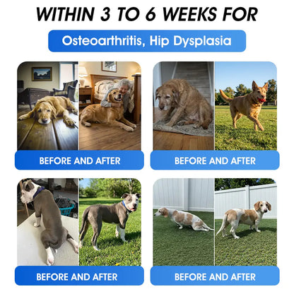 Official US 🇺🇸 Store 🐶🐱Yovot® BPC-157 Advanced Joint & Total Body Health Oral Liquid -(For Dogs, Cats & Mammals. One Bottle Daily, Results in 7 Days)